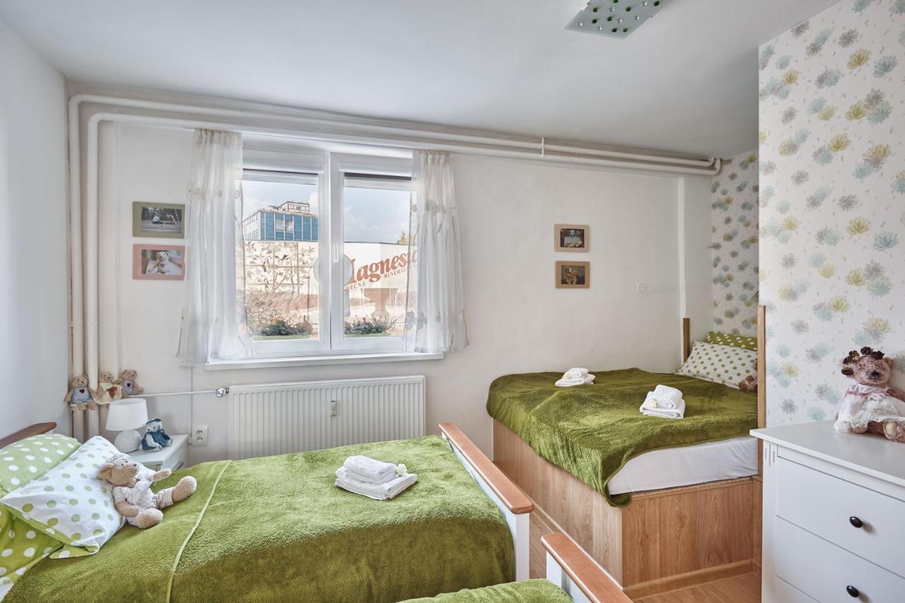Apartment U Medvidka Карлови Вари Екстериор снимка